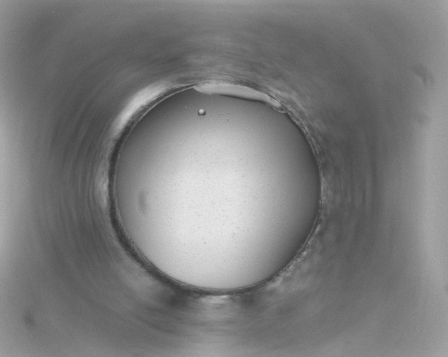 X0000115670054200911251739