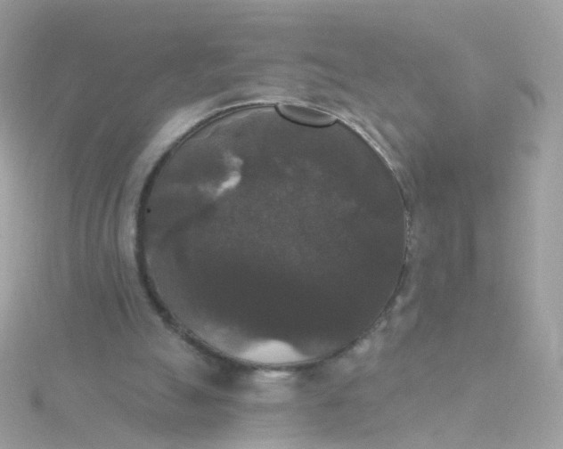 X0000115670055200911251739