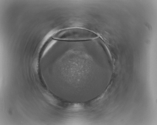 X0000115670056200911251739