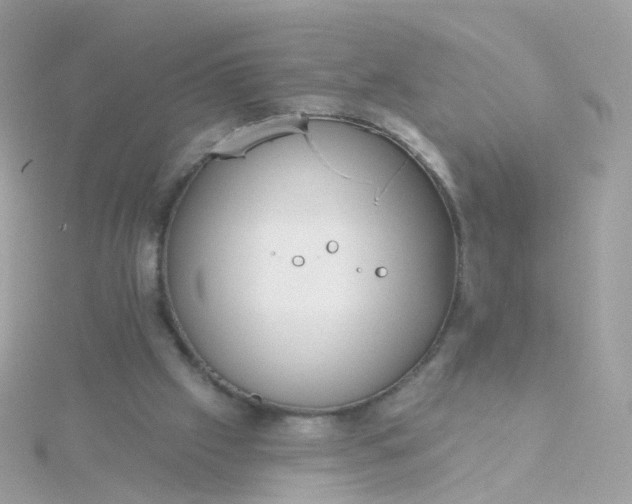 X0000115670057200911251739