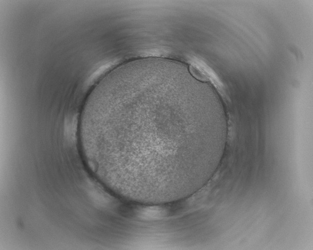 X0000115670058200911251739