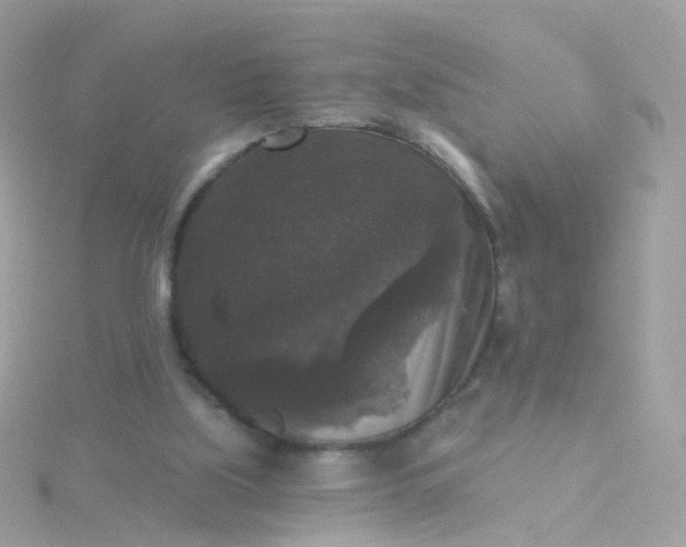 X0000115670059200911251739