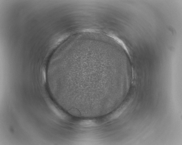 X0000115670061200911251739