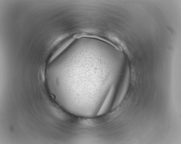 X0000115670062200911251739