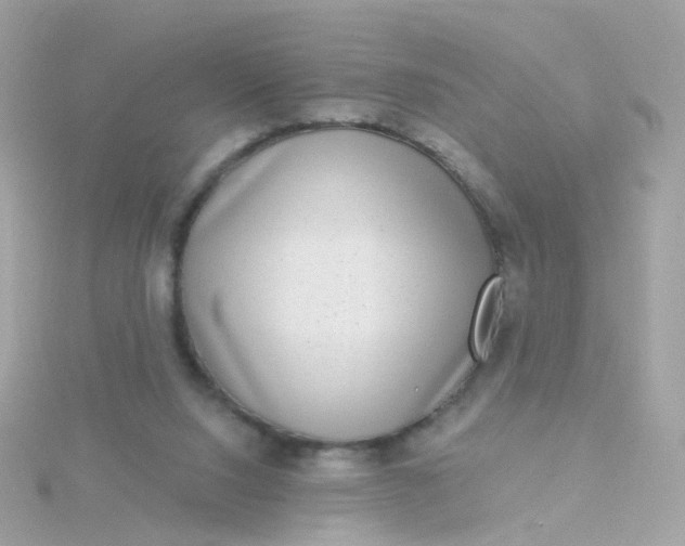 X0000115670064200911251739