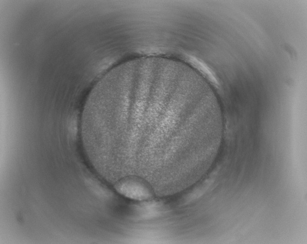 X0000115670065200911251739