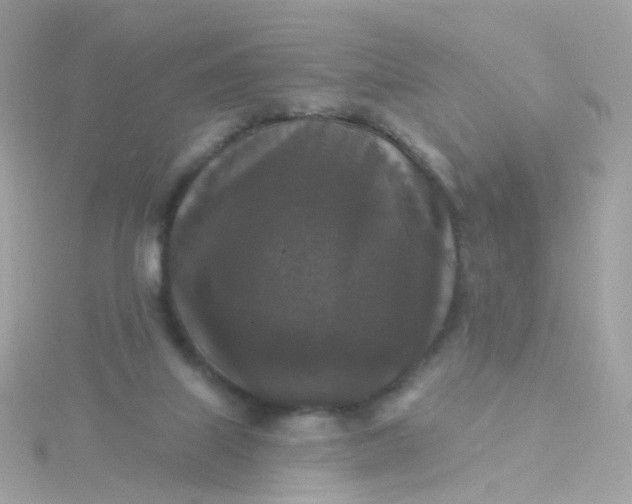 X0000115670067200911251739