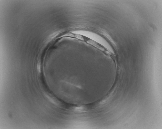 X0000115670068200911251739