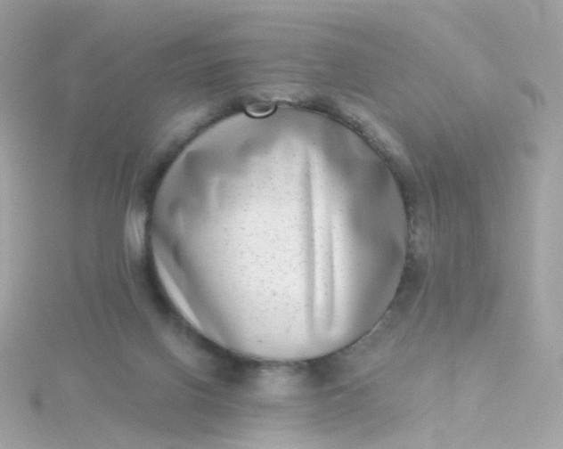 X0000115670070200911251739