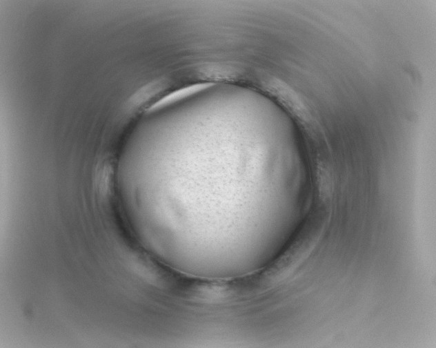 X0000115670071200911251739