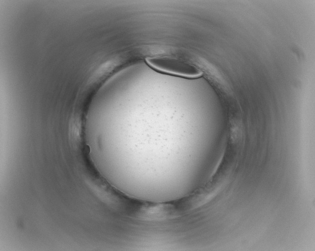 X0000115670072200911251739