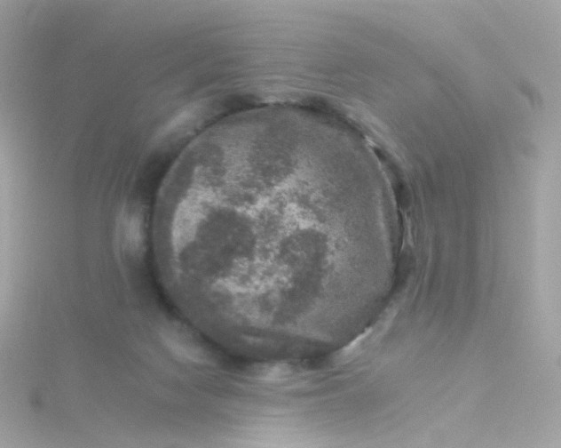 X0000115670074200911251739