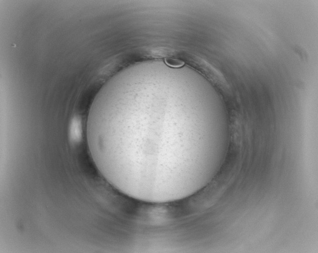 X0000115670075200911251739