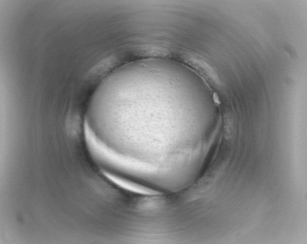 X0000115670077200911251739