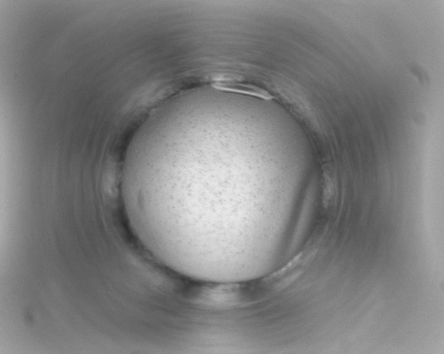 X0000115670078200911251739