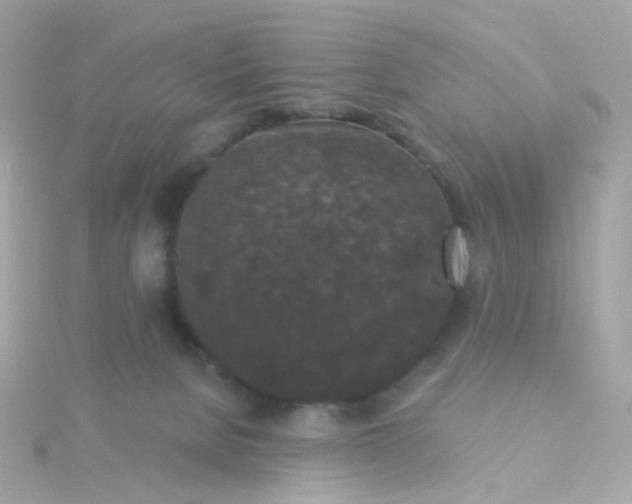 X0000115670080200911251739