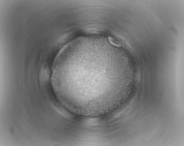 X0000115670081200911251739