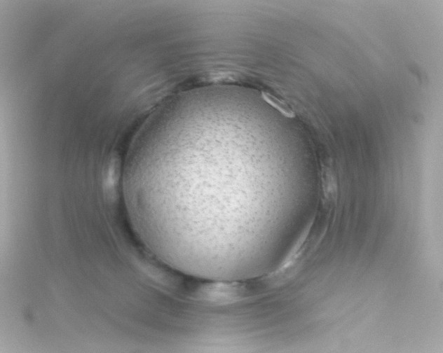 X0000115670082200911251739