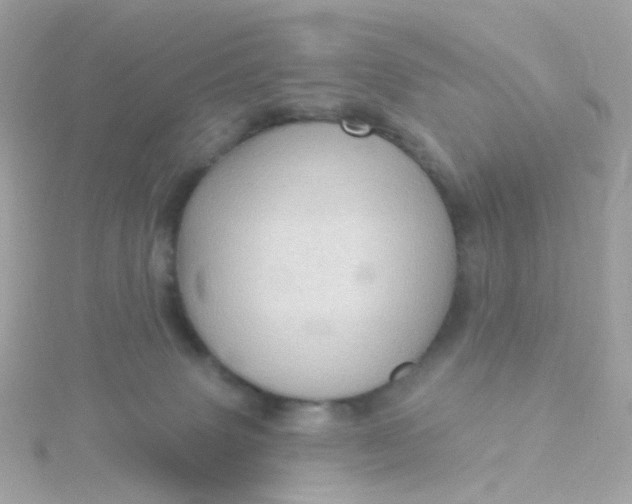 X0000115670083200911251739