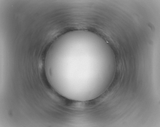 X0000115670084200911251739