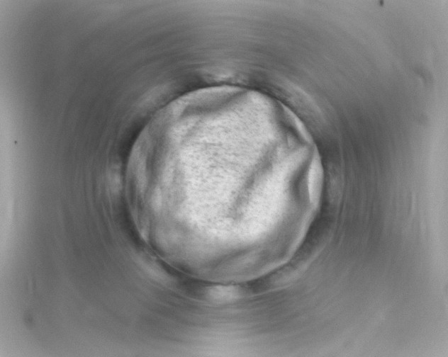 X0000115670085200911251739