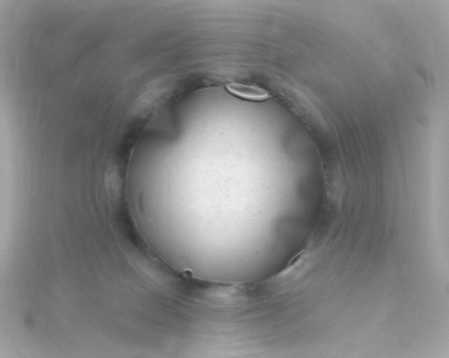 X0000115670086200911251739