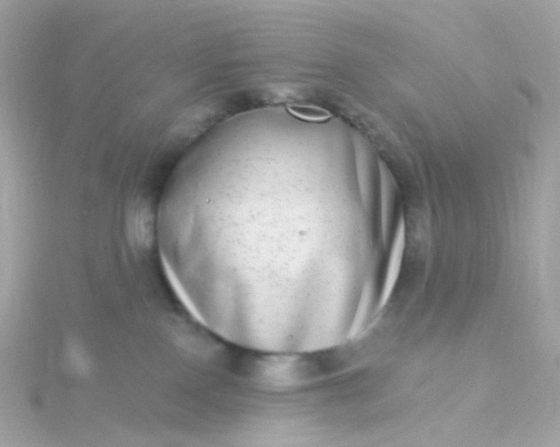 X0000115670090200911251739