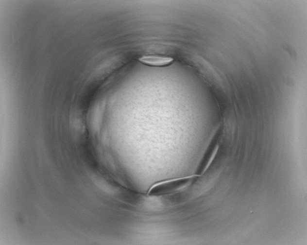 X0000115670091200911251739