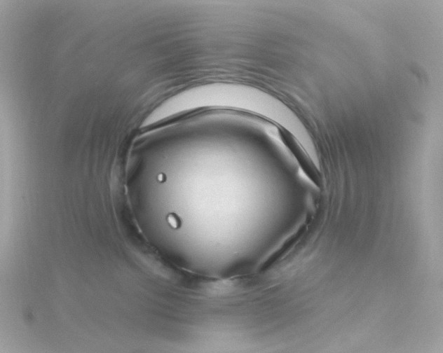 X0000115670092200911251739