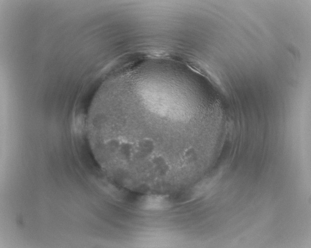 X0000115670093200911251739