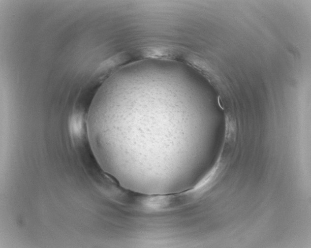 X0000115670094200911251739