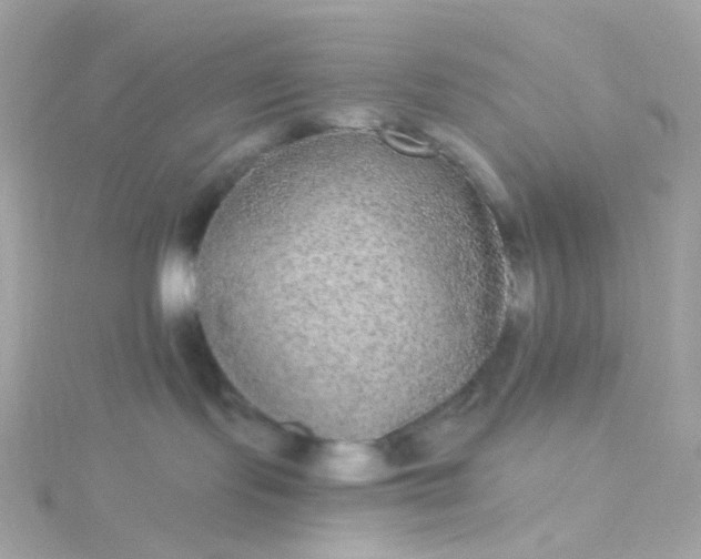 X0000115670095200911251739