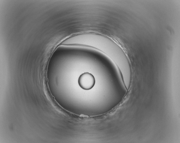 X0000115670097200911251739