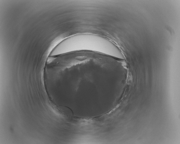 X0000115670099200911251739