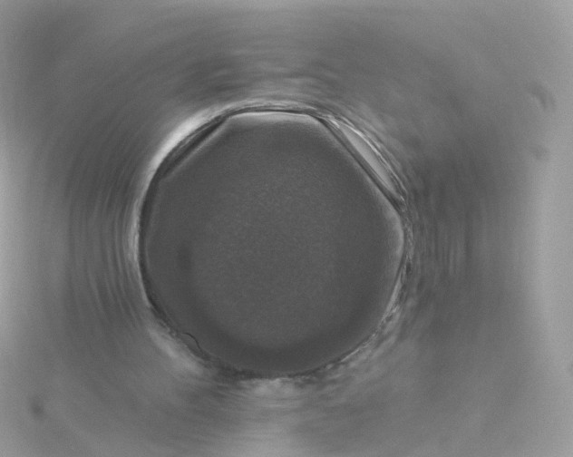 X0000115670100200911251738