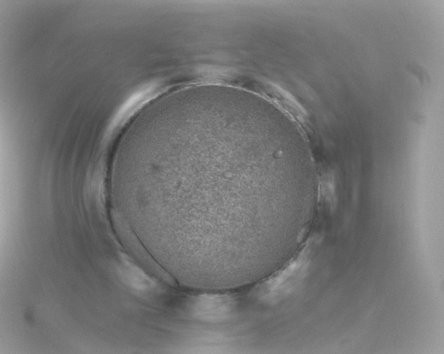 X0000115670101200911251738