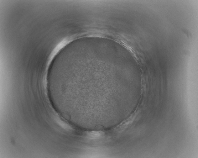 X0000115670102200911251738