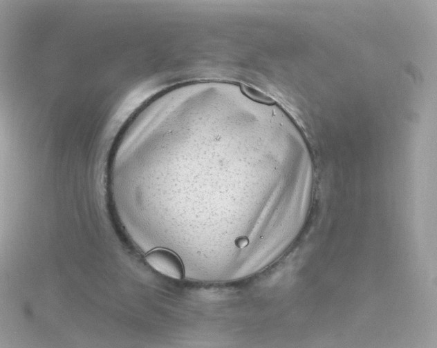 X0000115670103200911251738