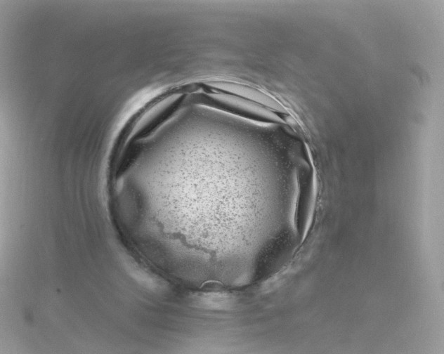 X0000115670104200911251738