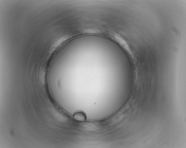 X0000115670106200911251738