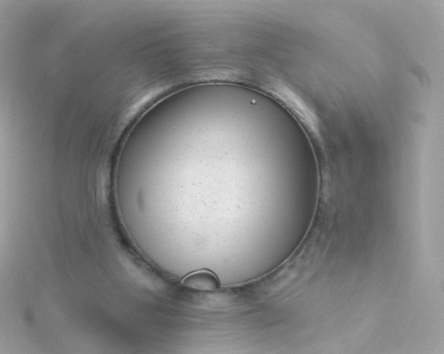 X0000115670107200911251738