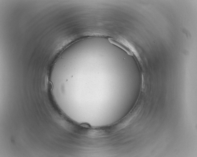 X0000115670109200911251738