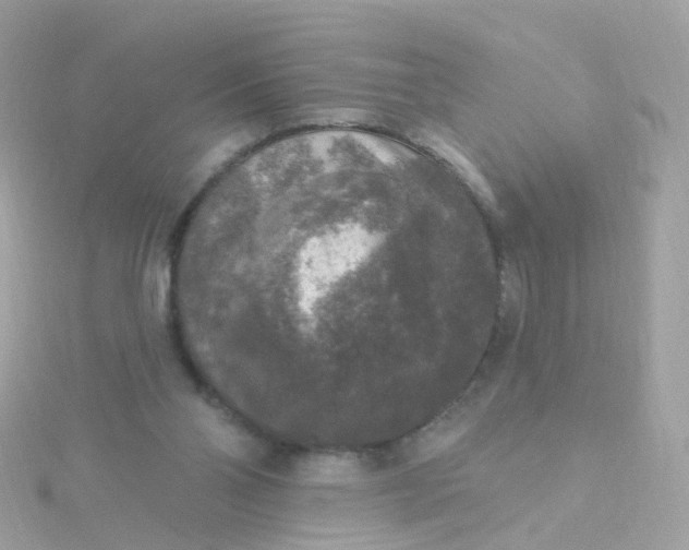 X0000115670110200911251738