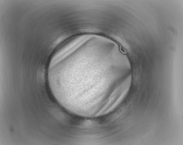 X0000115670111200911251738