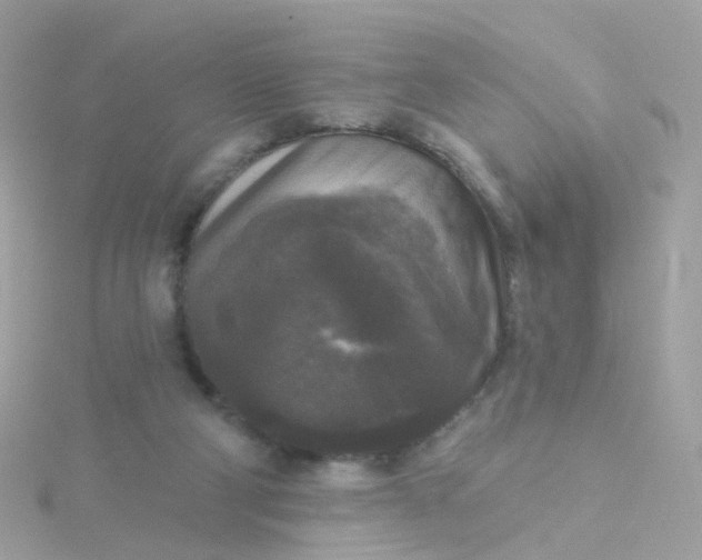 X0000115670114200911251738