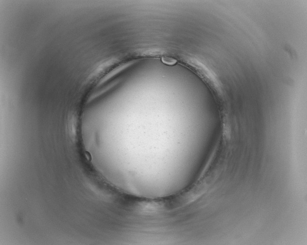 X0000115670115200911251738