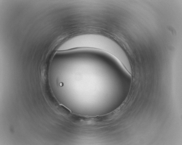 X0000115670116200911251738