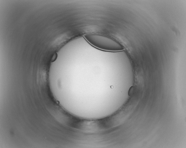 X0000115670117200911251738