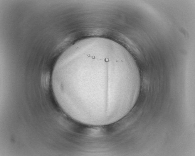 X0000115670118200911251738