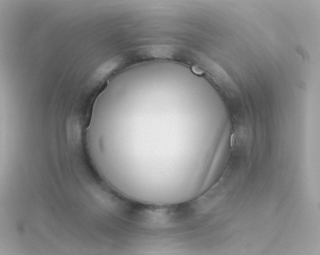 X0000115670120200911251738